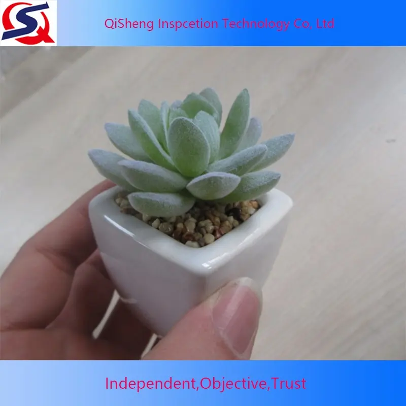 Qualitäts kontroll service für künstliche Pflanzen Produkt inspektions service Handels sicherungs service Dritt unternehmen in ZheJiang