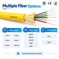 Câble à fibres optiques multiconducteurs intérieur GJFJV G652D G657A1 G657A2 OM3 OM4 pour centre de données et réseau de salle de télécommunications