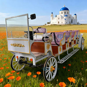 Cercueil funéraire électrique à <span class=keywords><strong>quatre</strong></span> roues, style rétro européen, couleur personnalisable, garantie 2 ans - Product Image 1