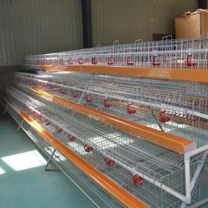 鶏鶏ケージモーターを敷設するアンゴラファーム用バッテリーケージ4層75個自動家禽農場ホット製品 - Product Image 1