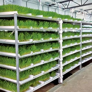 Sistema de Cultivo Hidropónico Multicapa de Microgreens con Cubierta de PVC y ABS de Grado Alimenticio, Bomba de Circulación de Agua Automatizada, Móvil y con Ruedas - Product Image 1