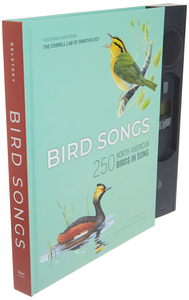 Tablero de <span class=keywords><strong>cuentos</strong></span> en inglés para niños de tamaño A4 personalizado Impresión de libros Efecto de sonido Cubierta dura Offset Música LCD Papel Material de cartón - Product Image 6