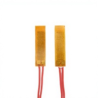 Chauffe-élément à film PI à chauffage rapide pour l'équilibrage thermique des batteries de véhicules à énergie nouvelle, ultra-mince 0,2 mm, personnalisé