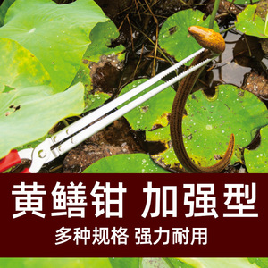 Fishing Plier Eel Gripper Stainless Steel Slanted Mouth For Ocean Beach Fishing Tools - Product Image 3