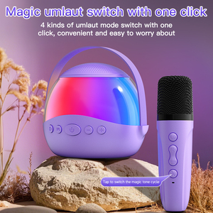 Altoparlante Karaoke Tascabile con Luci LED, Microfoni Wireless, Modificatore di Voce, Regalo di Compleanno per Ragazze, Supporto Scheda TF - Product Image 5