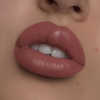 OEM ODM Vegan Maquillage Femmes Rouge Crème Rouge À Lèvres Personnalisé Étanche Nude Solide Minéral Longue Durée Rose Mat Rouge À Lèvres