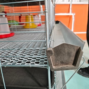 Fabrik verkauf Niedriger Preis Verzinkter Brut apparat Baby Chicks <span class=keywords><strong>Cage</strong></span> Profession elle Geflügel ausrüstung Brut käfig Hühner käfig zum Verkauf - Product Image 2