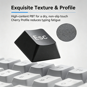 Keycaps PBT วัสดุสีย้อม-sublimated 126คีย์โปรไฟล์มาตรฐานใช้ได้กับ Ajazz /aula/<span class=keywords><strong>akko</strong></span> 60%/75% /tkl/ 104 - Product Image 2