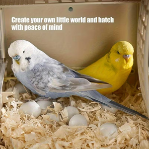 Caja de Cría para Loros, Periquitos, Cockatiels, Canarios, Pájaros Pequeños, Jaula Colgante, Accesorios para Aves, Panel Transparente Aislado para Agapornis - Product Image 4