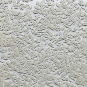 Riz parfumé vietnamien de qualité supérieure ST25 |   Durée de conservation de 2 ans, qualité d'exportation - Product Image 1