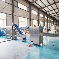 Machine de traitement des oignons en acier inoxydable DY, 500-1000 kg/h, machine à peler et à couper les oignons à haute efficacité, vente directe d'usine