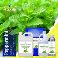Huile essentielle de menthe poivrée 100% naturelle, huile pure de Mentha Spicata pour les soins des cheveux et de la peau