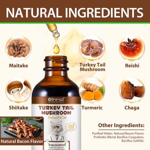 Oimmal Liquid Mushroom Drops <strong>Supplements</strong> 60ml <strong>Pet</strong> <strong>Supplement</strong> Immune Support Mushroom Liquid Drops - Product Image 4