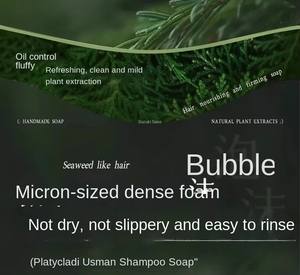 Produits de soins des cheveux à base de plantes Anti-perte de cheveux contrôle de l'huile pour les soins <span class=keywords><strong>du</strong></span> cuir chevelu feuille de <span class=keywords><strong>cèdre</strong></span> Cacumen Biotae Isatis Indictica shampooing savon - Product Image 3