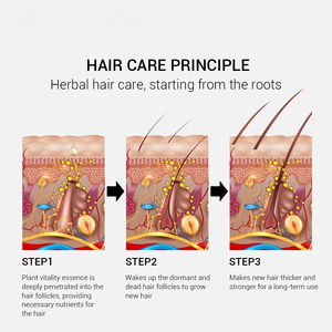 Popolare Siero Breylee Oil/Anti-Caduta che Promuove la Crescita dei Capelli - Product Image 6