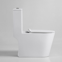 WC moderne 4,5 L monobloc en céramique avec chasse d'eau silencieuse Tornado et conception antigel pour salle de bain