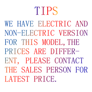 Vélo électrique à deux roues, bon marché, vélo cargo à l'aspect classique, à vendre - Product Image 6