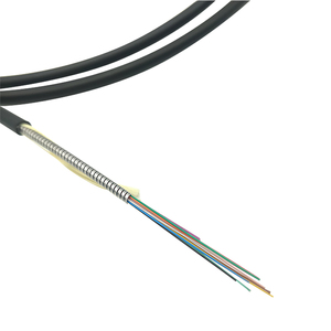 Cable de Fibra Óptica Blindado para Interiores y Exteriores, Tubo de Acero Inoxidable 12c, OM2 / OM3 / OM4 / G652D / G657A1 / G657A2, Anti-Roedores - Product Image 3