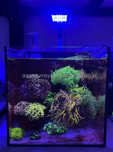 M30 A.S. En gros Tout-en-1 Nano Réservoir Ensemble 30CM Ultra Clair Verre Moderne <span class=keywords><strong>Fish</strong></span> <span class=keywords><strong>Tank</strong></span> Aquarium EXW - Product Image 5