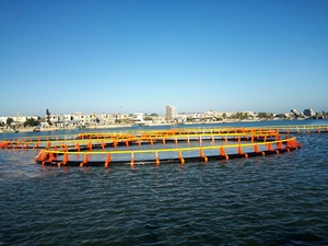 Open Water Circular <b>Fish</b> Cage Impact Resistant HDPE <b>Floating</b> Cage With Full Accessories - Product Image 1
