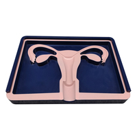 Modèle de formation pour dispositif contraceptif intra-utérin (DIU) féminin Pratique éducative pour la formation des étudiants en sciences médicales