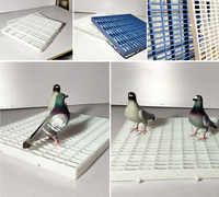 Accessoires pour pigeons de course : Plancher en plastique à lattes pour volière de pigeons