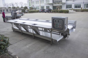 Fabrika ucuz fiyat endüstriyel paslanmaz çelik patates soğan elma domates sebze meyve toplama seçme konveyör - Product Image 4