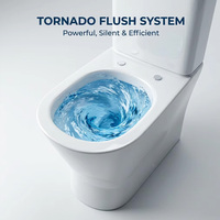 WC à poser en céramique à raccordement direct, avec chasse d'eau Tornado, siège à fermeture douce, homologué CE, vente directe usine
