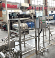 Ligne de Production de jus de tomate à petite échelle, Machine de fabrication de pâte de tomate