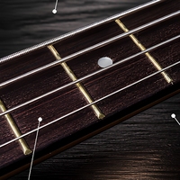 Electric Bass Guitar 4 String PJ Pickup Basswood Body Maple Neck Rosewood Fretboard Polished Finish Beginner Instrument OEM ODM