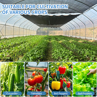 Serre tunnel agricole BAOLIDA à grande portée en film PE avec ventilation latérale, structure de serre haute pour l'agriculture