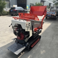 Prix d'usine Mini Track Dumper Peut être soulevé et abaissé Mini camion à benne basculante hydraulique Vente en gros Personnaliser Mini Dumper 500 kg