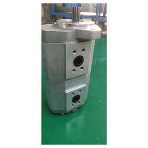 ปั๊มเกียร์ CASAPPA PLM PLP PLP30 PLP20 PLP10 PLP20 SERIES รุ่น PLP20.14DQ-82E2LGE/GD-NEI21/02 - Product Image 6