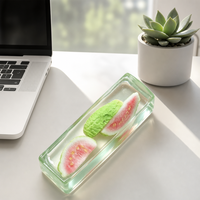 Jouet Squishy Premium en Cristal Transparent avec Barre de Fruits, Rempli de Tranches de Fruits Réels, à Remontée Lente