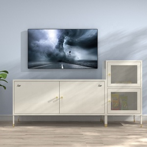 Meubles de télévision <span class=keywords><strong>en</strong></span> métal, 1 pièce, nouveau Design moderne, meuble <span class=keywords><strong>en</strong></span> acier personnalisé, petite maison, blanc - Product Image 1