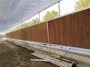 MYXL 配备排气扇湿帘番茄隧道温室带冷却系统 - Product Image 3