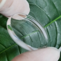 Lentille de montre saphir résistante aux rayures pour les mises à niveau des montres et le bricolage Mod