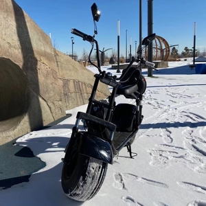 Scooter Citycoco H4 <span class=keywords><strong>Nouveau</strong></span> Modèle Vélo Électrique Vélo de Ville Électrique E-Bike avec Batterie Amovible - Product Image 4