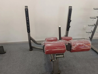 Banc de musculation inclinable réglable en acier à charge libre pour l'entraînement des pectoraux inférieurs et des bras, avec caractéristiques de sécurité