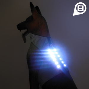 Chaleco reflectante para perro, luz led recargable de alta calidad para ropa de perro - Product Image 2