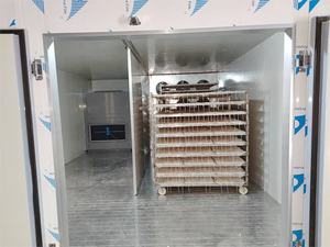 Merhaba nehir marka otomatik sıcaklık nem kontrol soğuk hava deniz kurutucu balık kurutucu makine gıda kurutma odası CE - Product Image 5