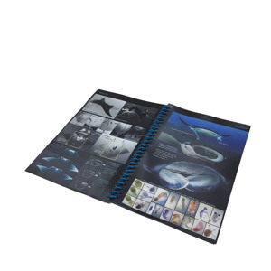 Tyvek-impresión de papel a la Carta, impresión de folletos a prueba de agua/Revista Profesional, libro de fotos, servicios de impresión de folletos baratos - Product Image 6