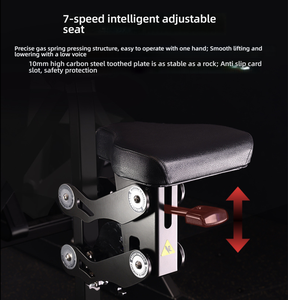 Appareil d'entraînement musculaire en acier à double fonction pour la poitrine et le haut du dos, usage commercial et domestique - Product Image 2