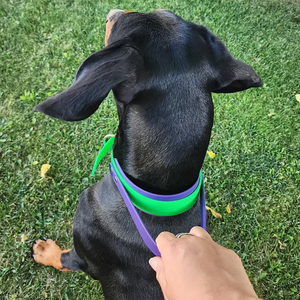 <span class=keywords><strong>Collar</strong></span> de perro duradero ajustable fácil de limpiar de PVC resistente al agua con mango cómodo para perros medianos y grandes collares de entrenamiento para mascotas - Product Image 1