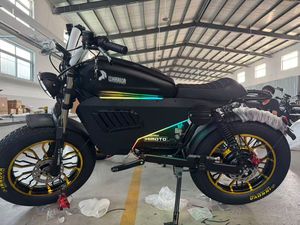 Bicicleta Eléctrica SK de China a Bajo Precio, Motor Trasero de 1500W/3000W, Batería de Iones de Litio de 50Ah, Cuadro de Aleación de Aluminio - Product Image 4