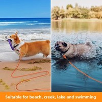 Jouets pour chiens pour l'été, la plage et les jeux aquatiques, corde flottante et bâton en caoutchouc thermoplastique, ensemble de cadeaux interactifs