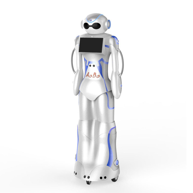 High Quality Manufacturer Price Robot Intelligent Human Size Service Robot