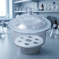 Égouttoir à vide en verre, type non sous vide, chambre de séchage de laboratoire avec plaque en porcelaine perforée