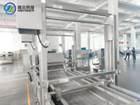 Complete fruit- en groenteverwerkingslijn met lichtinspectie, sortering, weeken, wassen en luchtdroging