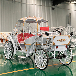 Carruaje eléctrico blanco de Cenicienta para sesiones de fotos de bodas y excursiones turísticas en lugares escénicos - Product Image 1